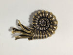 Brass Ammonite