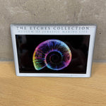 The Etches Collection Colourful Ammonite Fridge Magnet